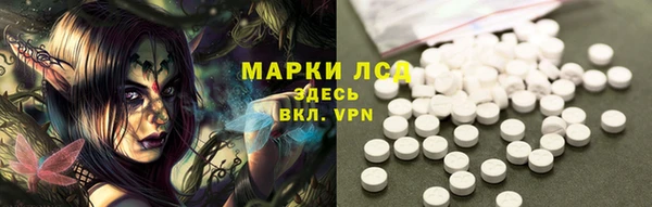 трава Бородино