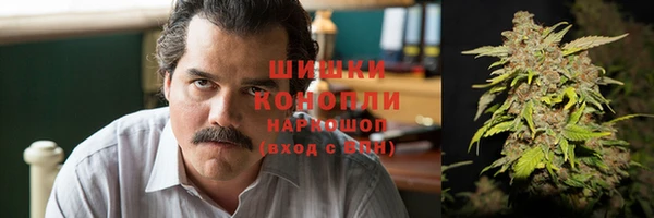 трава Бородино