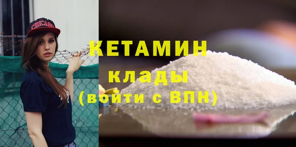 трава Бородино