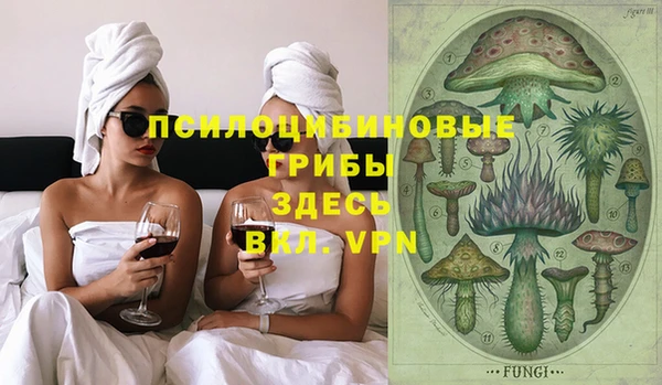 трава Бородино