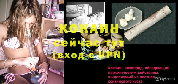 трава Бородино