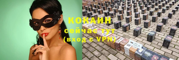 трава Бородино