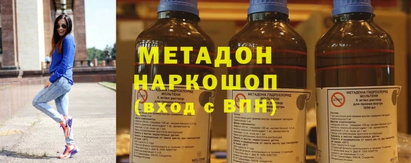 молекула духа Богданович