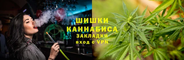 трава Бородино