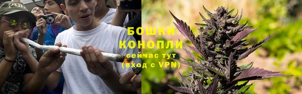 mdpv Богородск